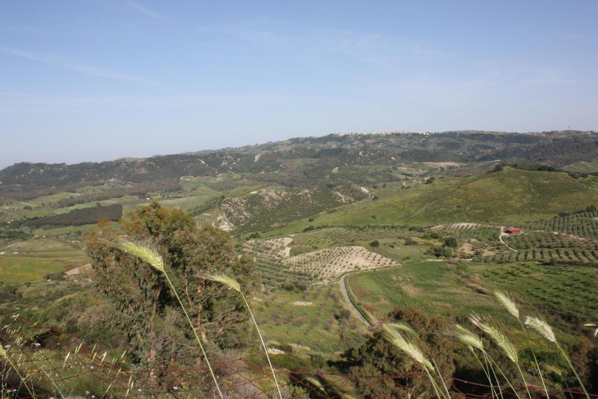 Azienda Agrituristica Biologica Il Querceto Santa Severina Bagian luar foto