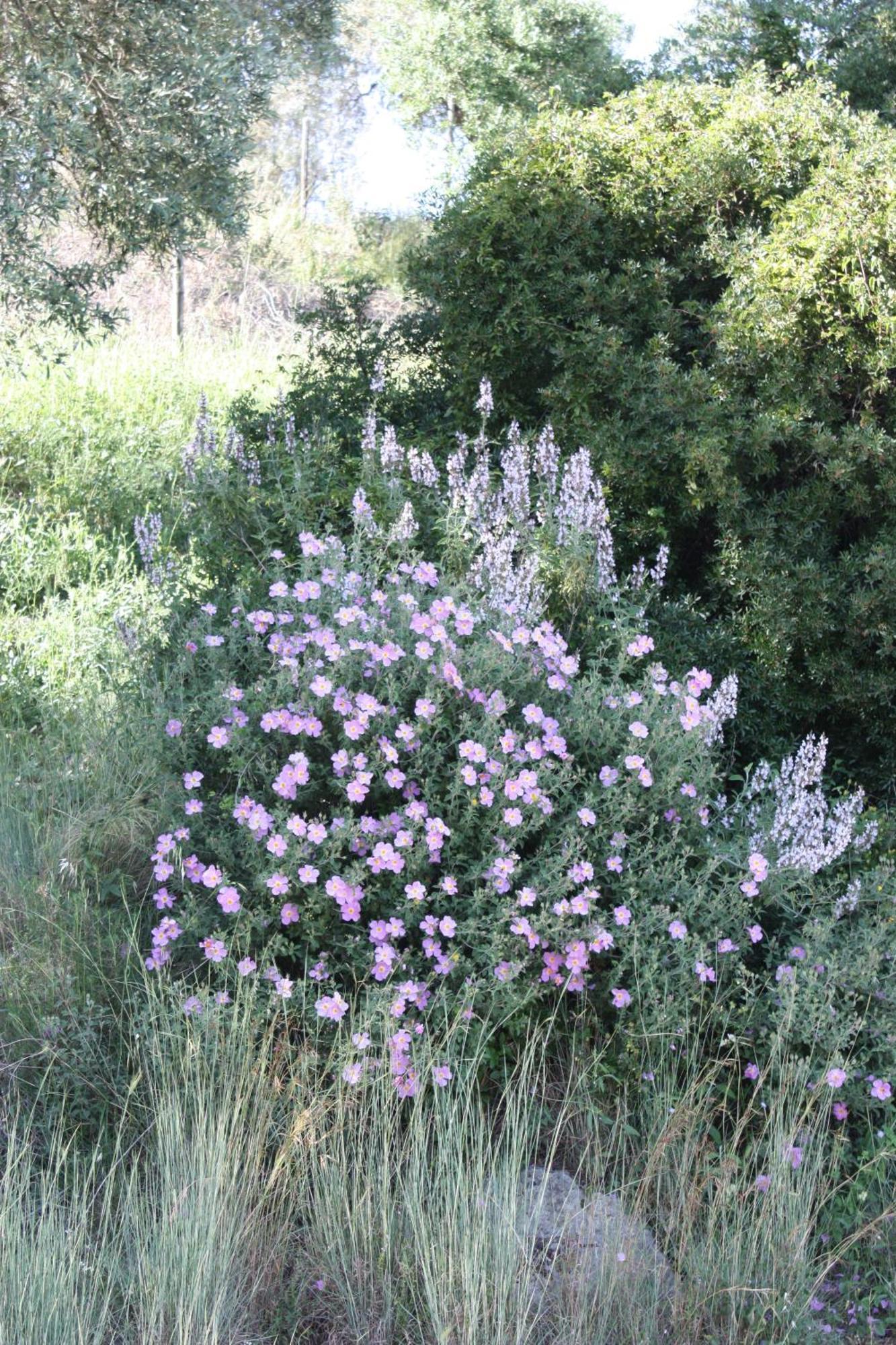 Azienda Agrituristica Biologica Il Querceto Santa Severina Bagian luar foto