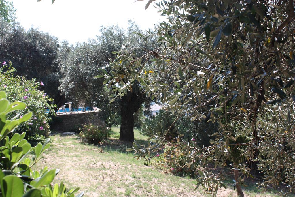 Azienda Agrituristica Biologica Il Querceto Santa Severina Bagian luar foto