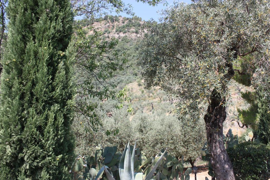 Azienda Agrituristica Biologica Il Querceto Santa Severina Bagian luar foto