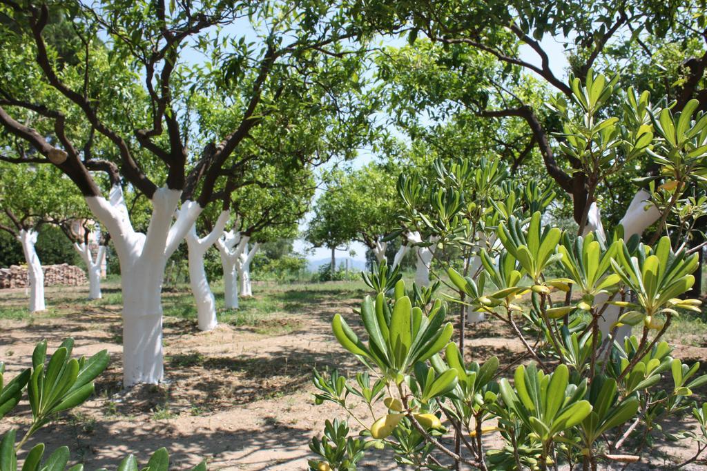 Azienda Agrituristica Biologica Il Querceto Santa Severina Bagian luar foto