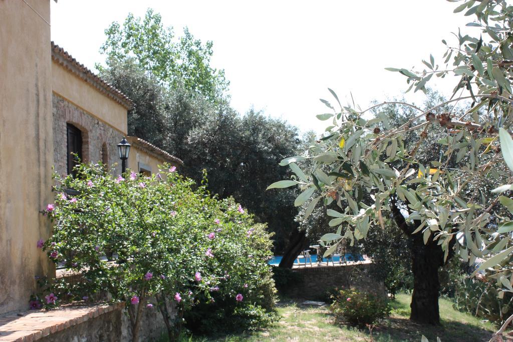 Azienda Agrituristica Biologica Il Querceto Santa Severina Bagian luar foto