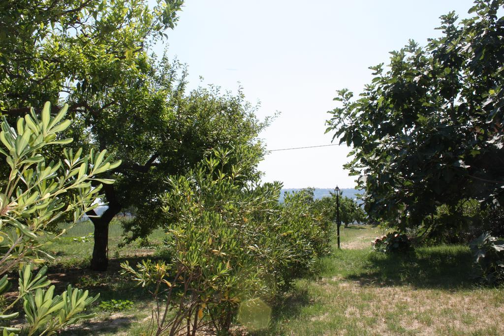 Azienda Agrituristica Biologica Il Querceto Santa Severina Bagian luar foto