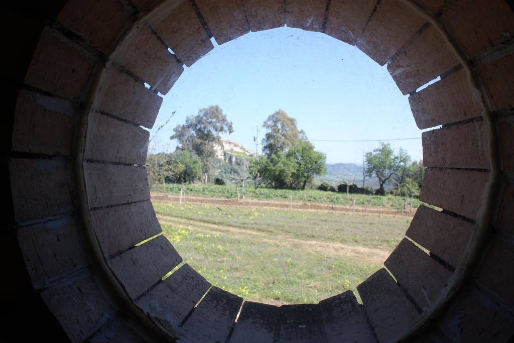 Azienda Agrituristica Biologica Il Querceto Santa Severina Bagian luar foto