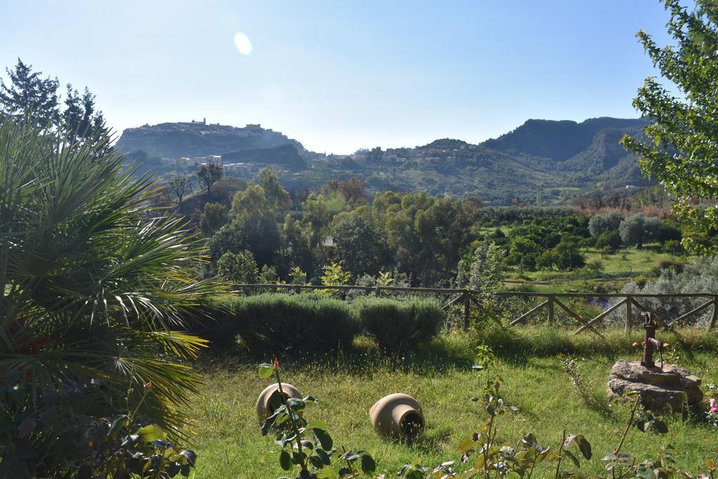 Azienda Agrituristica Biologica Il Querceto Santa Severina Bagian luar foto