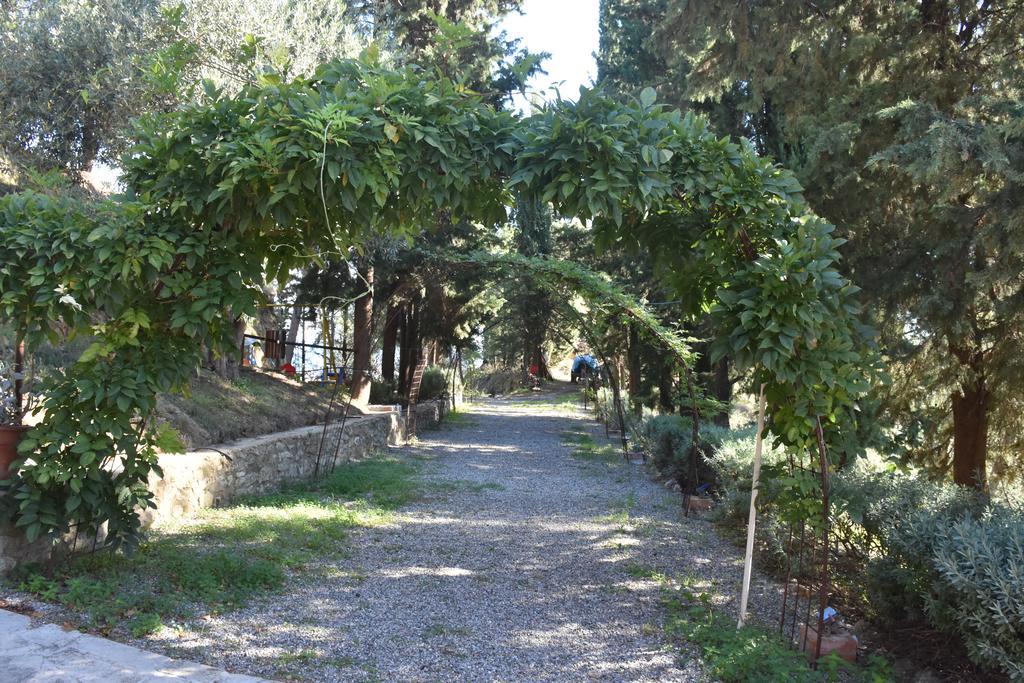 Azienda Agrituristica Biologica Il Querceto Santa Severina Bagian luar foto