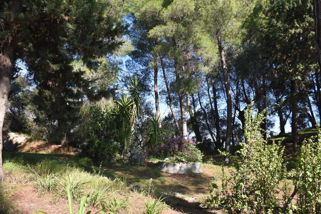 Azienda Agrituristica Biologica Il Querceto Santa Severina Bagian luar foto